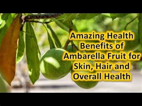 Amazing Health Benefits of Ambarella Fruit for Skin, Hair and Overall.